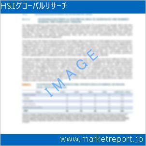 市場と産業調査レポートのイメージ
